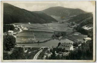 Žihlavník