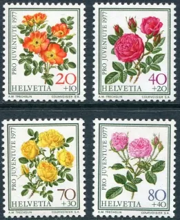 1112-1115**