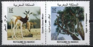 r.2017 Fauna