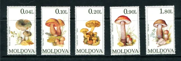 0153-0157 Hríby