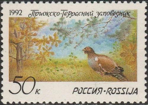 0228 Vtáky