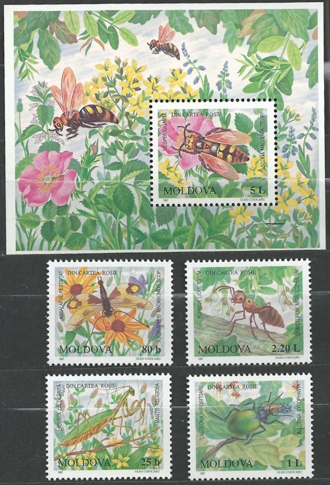 0239-0242/BL13 Fauna
