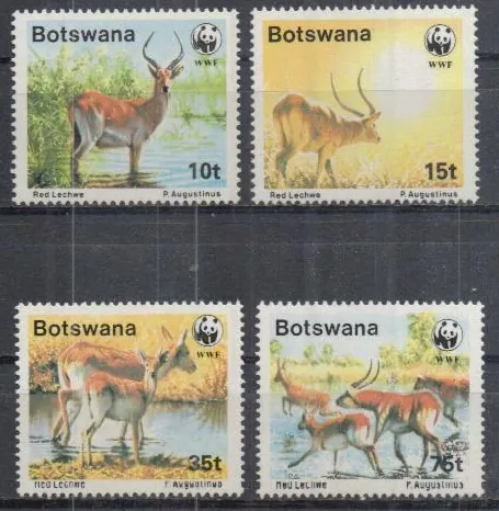 0431-0434 Fauna