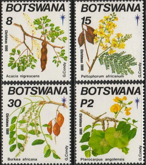 0482-0485 Flora