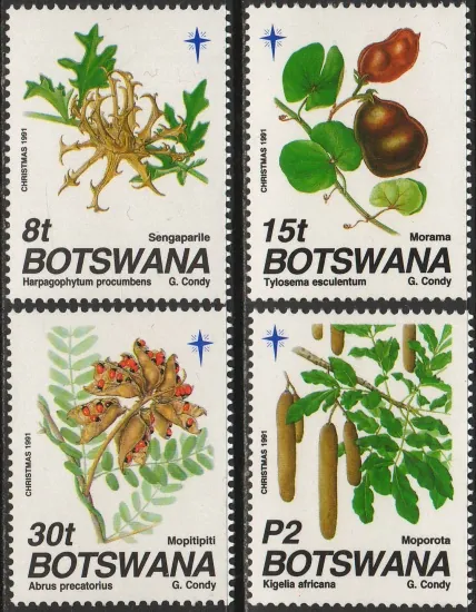 0501-0504 Flora