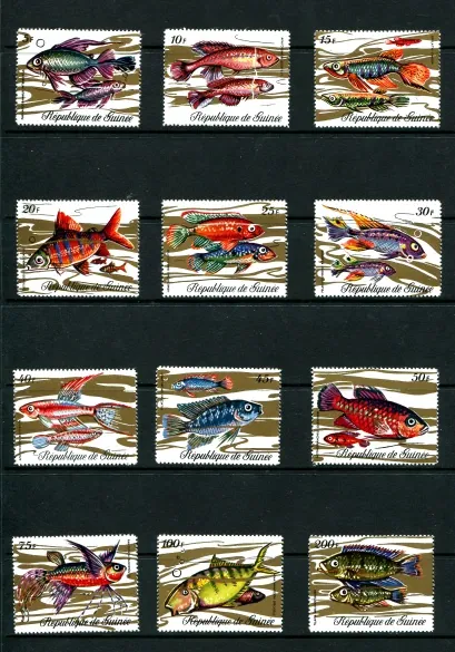 00571-00582 Ryby
