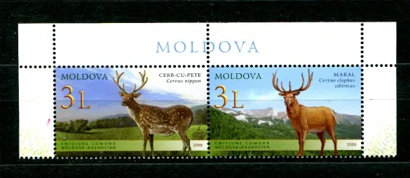 0623-0624 Fauna