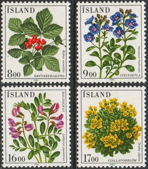 0628-0631 Kvety