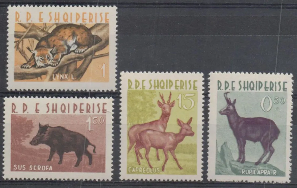 0704-0707 Fauna
