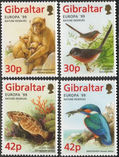 0852-0855 Fauna