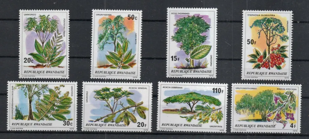 0984-0991 Flora