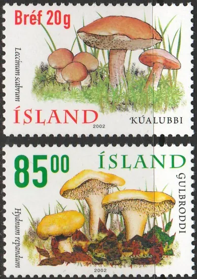 1000-1001 Hríby