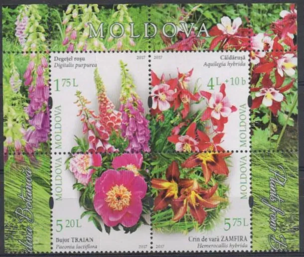 1005-1008 Kvety