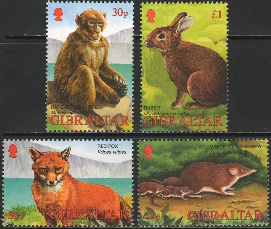 1010-1013 Fauna