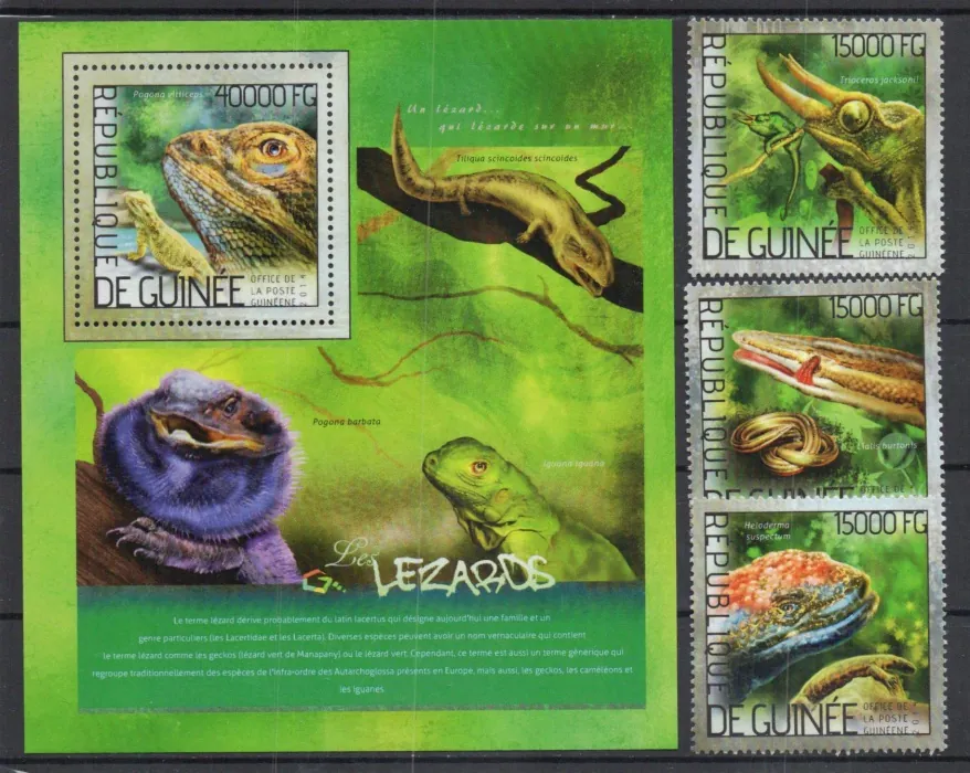 10335-10337 BL 2359 Fauna
