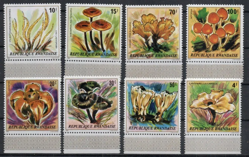 1051-1058 Hriby