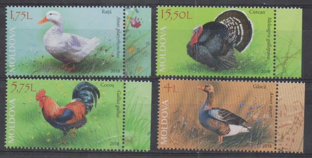 1057-1060 Fauna