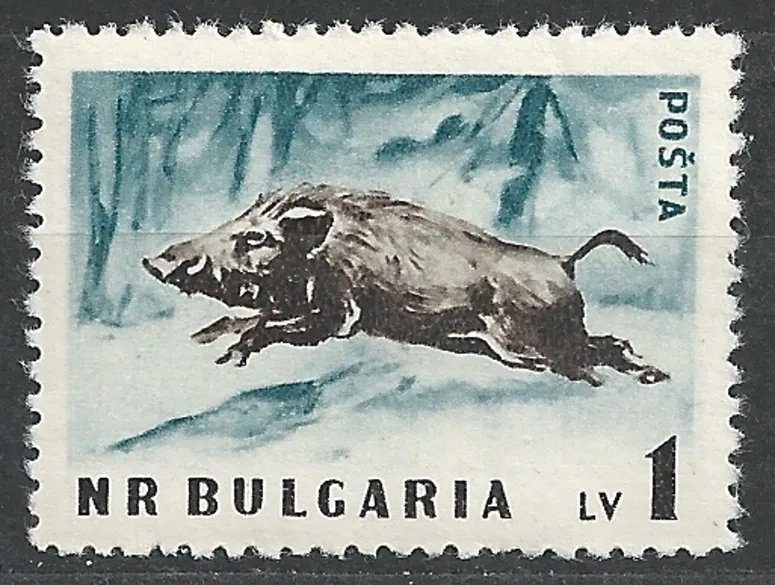1063A N. Fauna