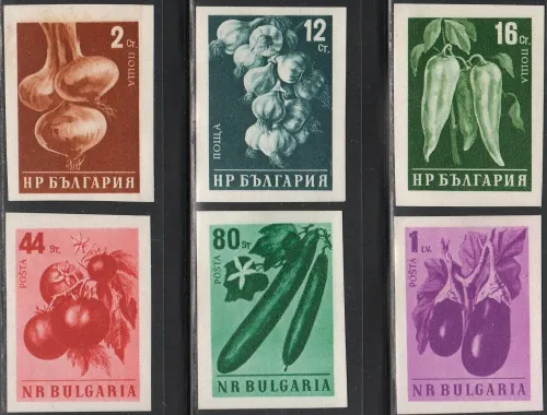 1079-1084 B
