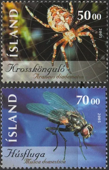 1093-1094 Hmyz