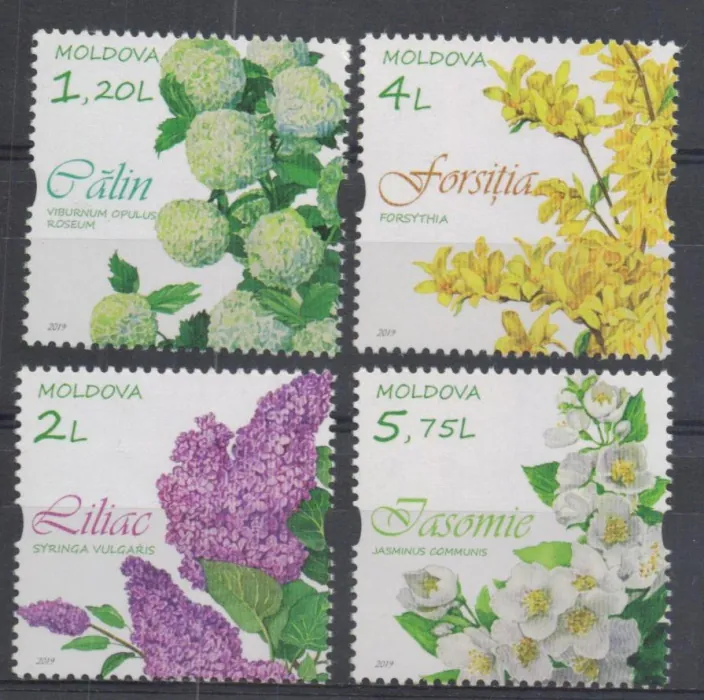 1094-1097 Flora
