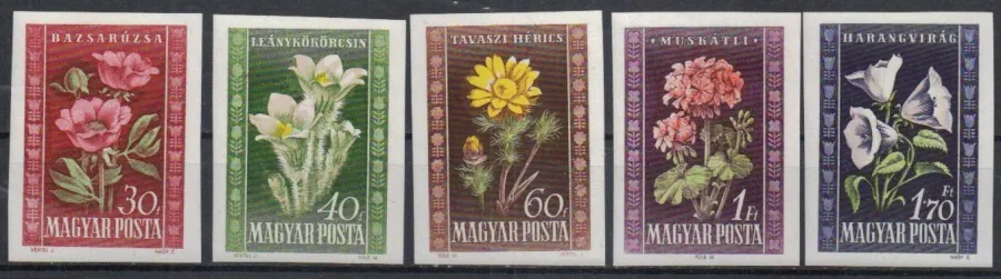 1112-1116 B** Flora