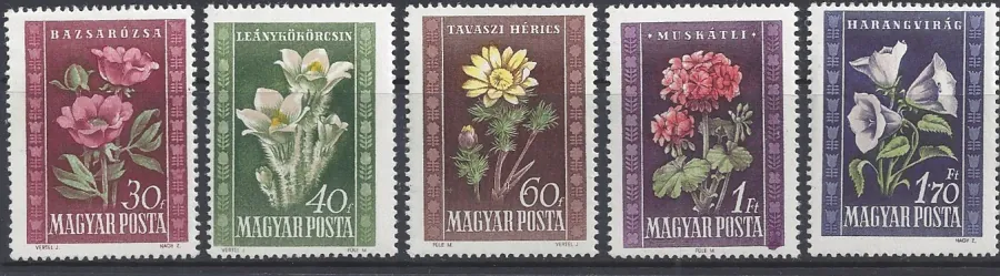 1112-1116 ** Flora