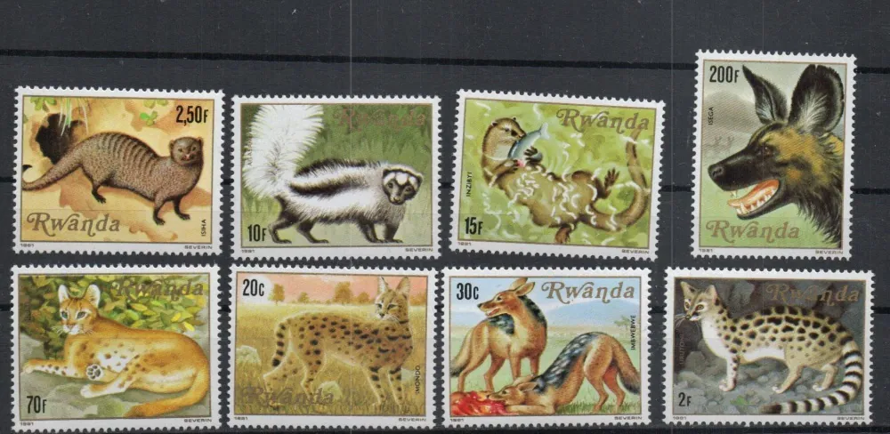 1119-1126 Fauna