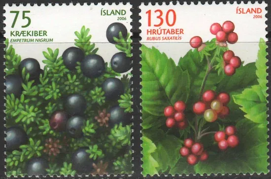 1137-1138 Flora