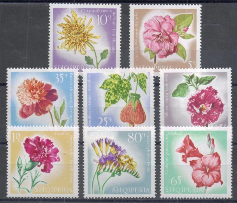 1143-1150 Flora