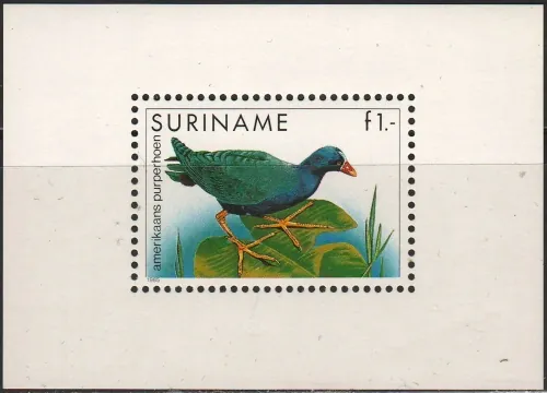 1146/BL43 Vtáky