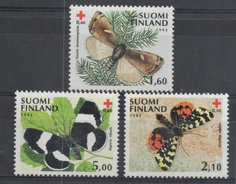 1169-1171 Fauna