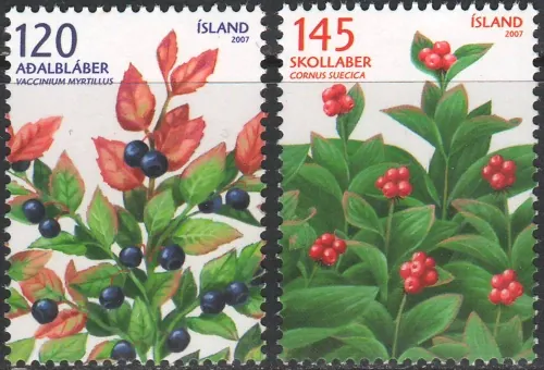 1175-1176 Flora