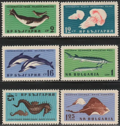 1243-1248 FAUNA