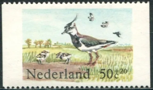 1246 C Vtáky