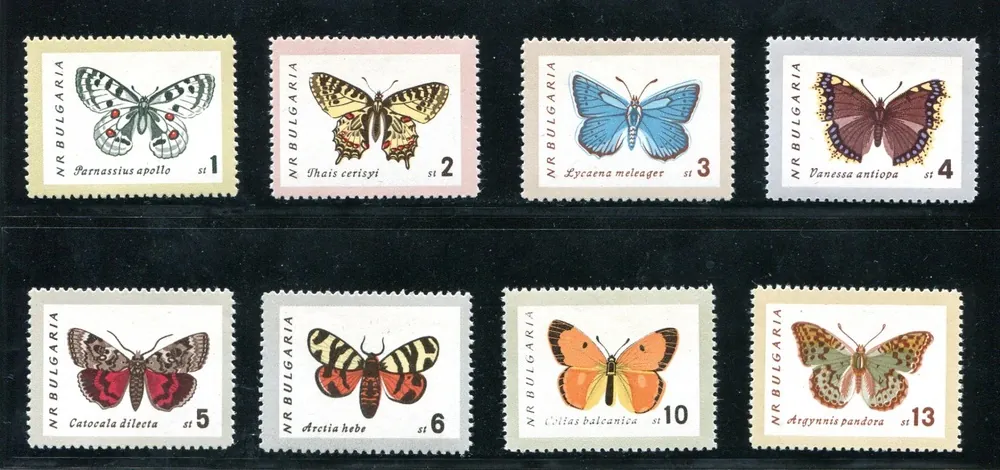 1339-1346 Motýle