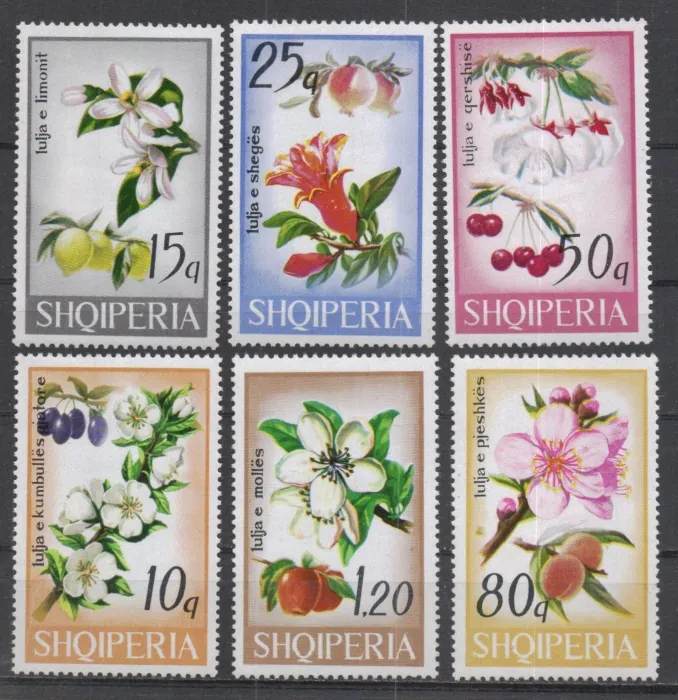 1362-1367 Flora
