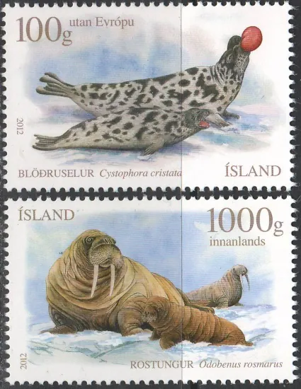 1367-1368 Fauna