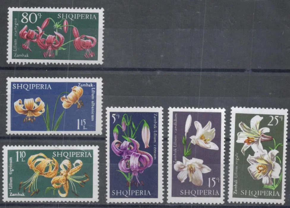 1405-1410 Flora