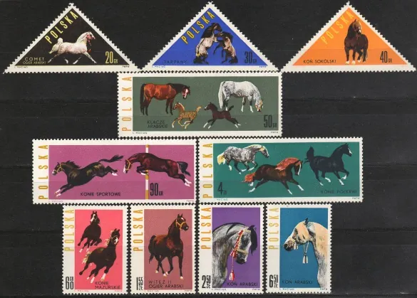 1447-1456 FAUNA