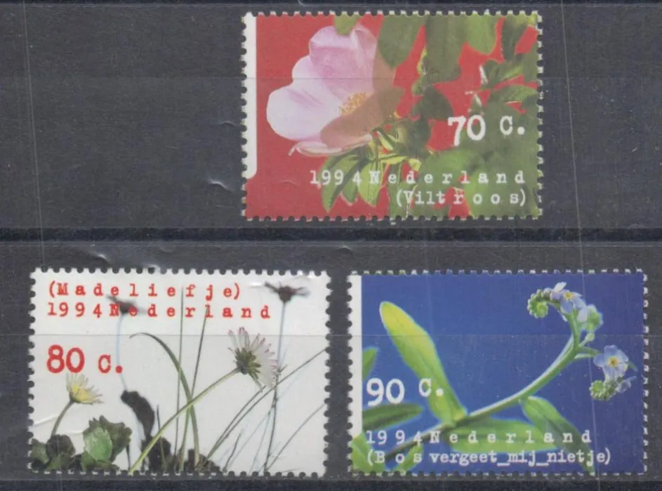 1504-1506 Kvety