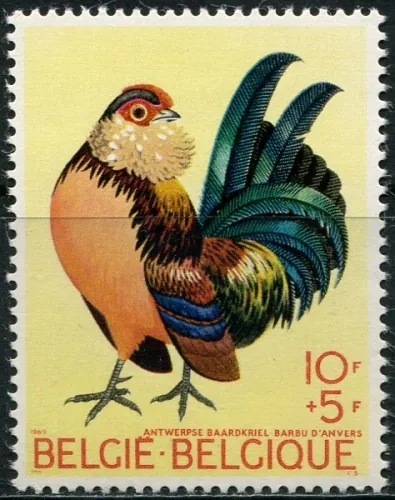 1572 Fauna