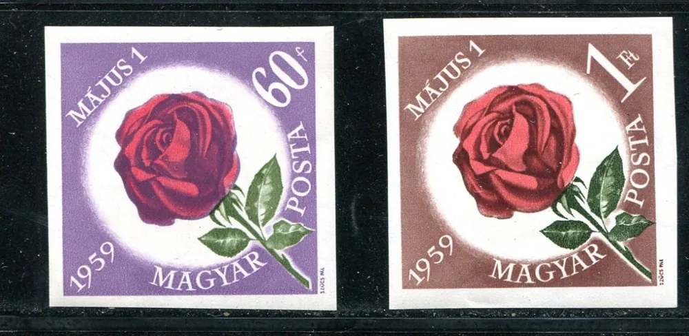1581-1582 B ** Flora