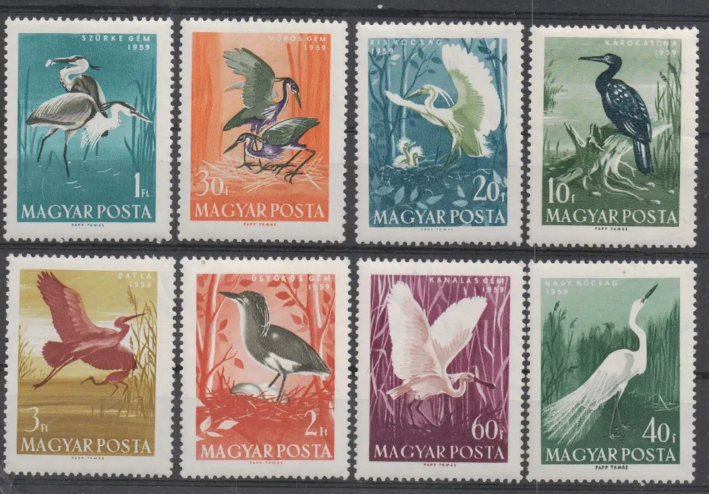 1593-1600 Vtaky