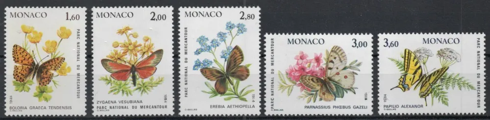 1624-1628 Motyle