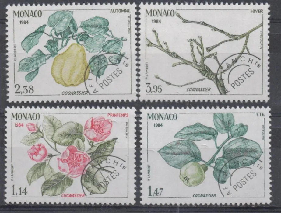 1642-1645 Flora