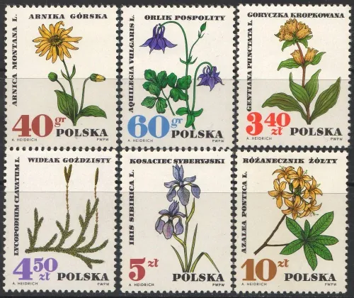 1770-1775 Kvety