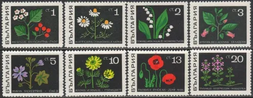 1857-1864 Flora