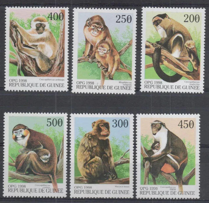 01952-01957 Fauna