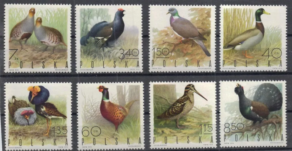 1988-1995 Fauna